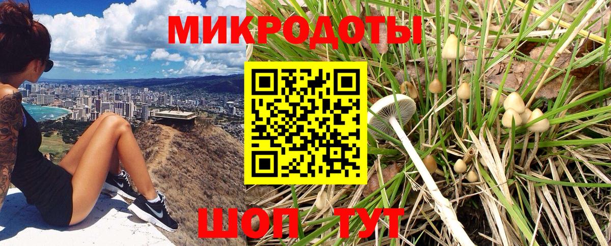 купить наркотик  Галлюциногенные грибы мухоморы  Вход с VPN  Качканар 